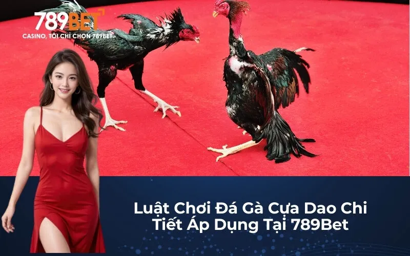 Luật Chơi Đá Gà Cựa Dao Chi Tiết Áp Dụng Tại 789Bet