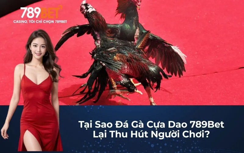 Tại Sao Đá Gà Cựa Dao 789Bet Lại Thu Hút Người Chơi?